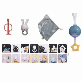 Taf Toys set za uspavljivanje za bebe
